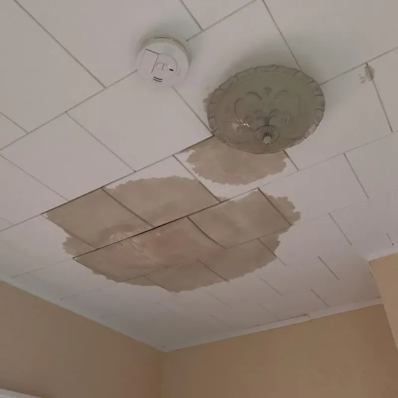 Ceiling Water Damage Repair in Osgood, IN