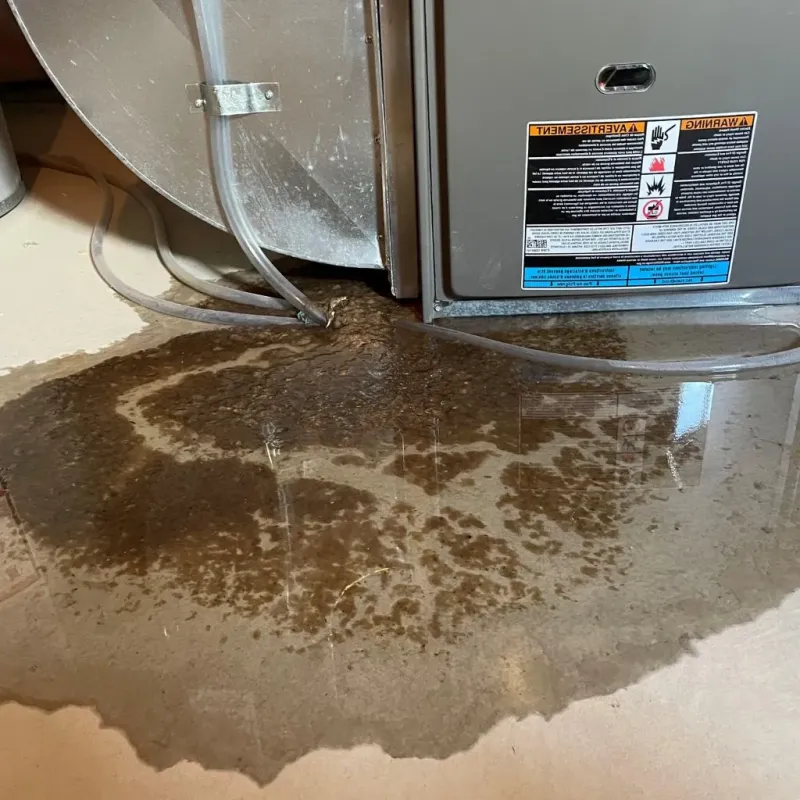 Pipe Burst and Leak Restoration in Osgood, IN