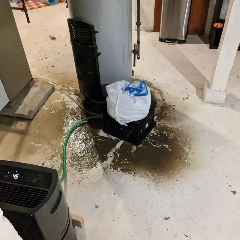 Sewage Backup Cleanup Service in Osgood, IN